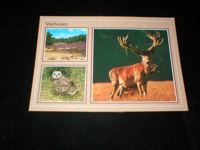 Oude foto's Vierhouten kleur 1